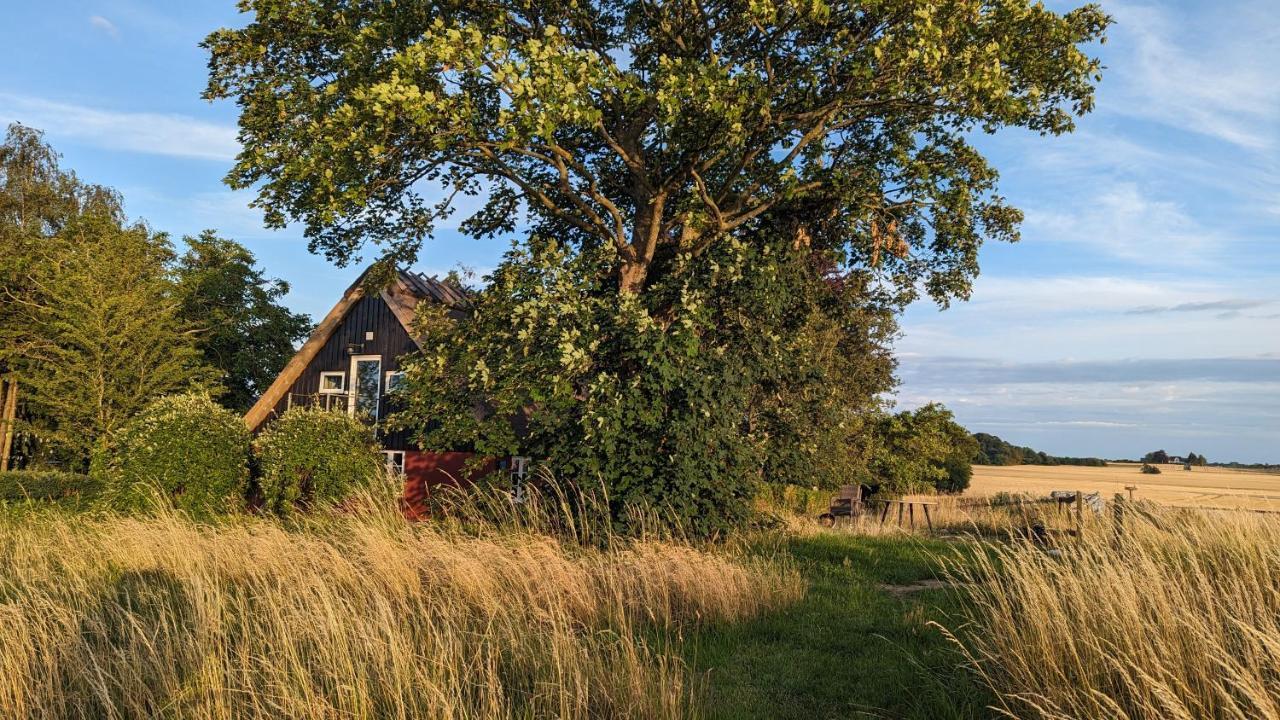 Under Valnodden Bed & Breakfast Stubbekobing Exterior photo